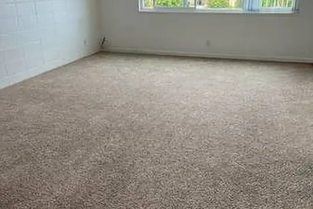 Apartment in Redwood City - View 4