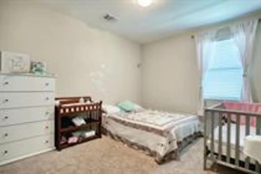 413 Alsatian Ln - View 5