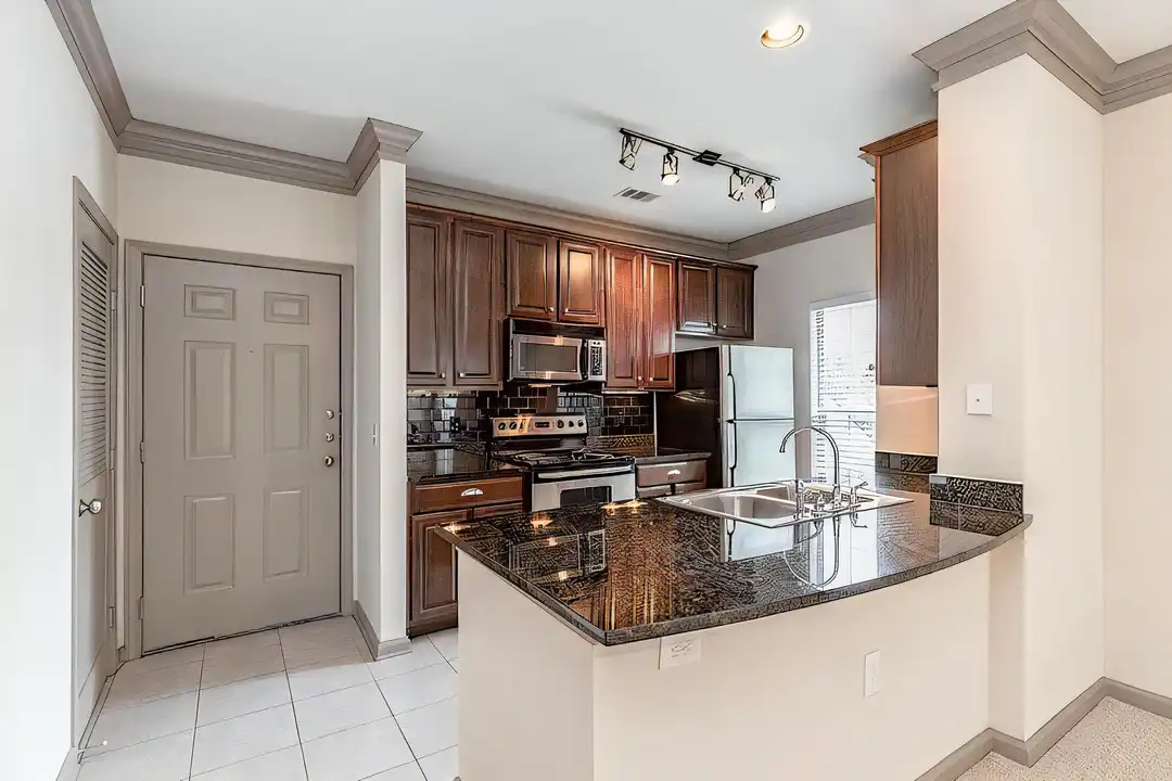 505 E Exchange Pkwy unit 07212 - View 3