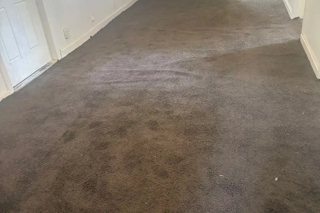 3301 Druid St - View 4