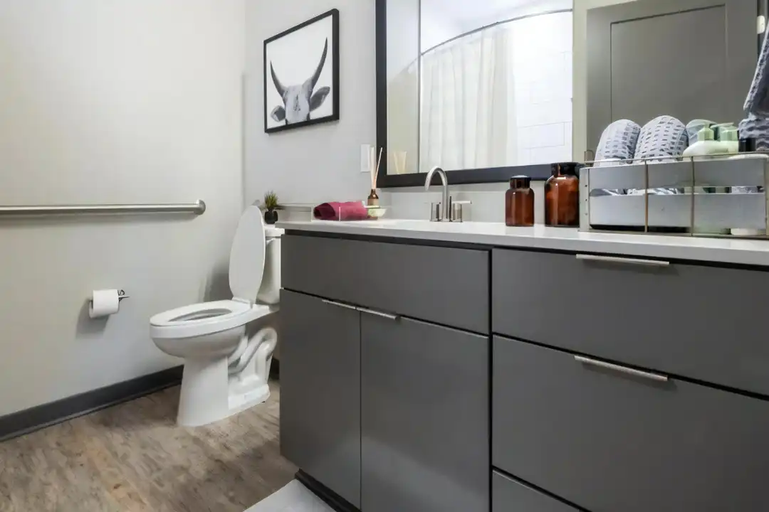 1005 W Main St - View 3