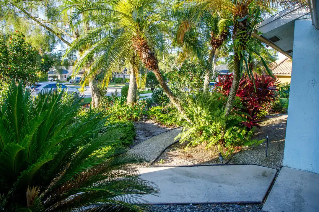 900 Cosmos Ct - View 4
