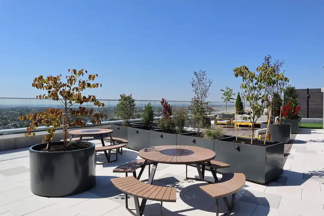 Alvista Rise – photo 1 of 35