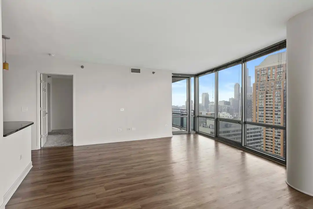 1251 S Michigan Ave - View 3