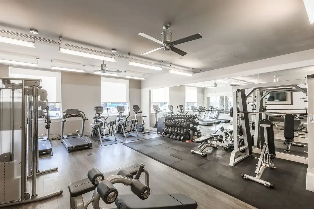 Apartment in Denver, Five Points - View 3