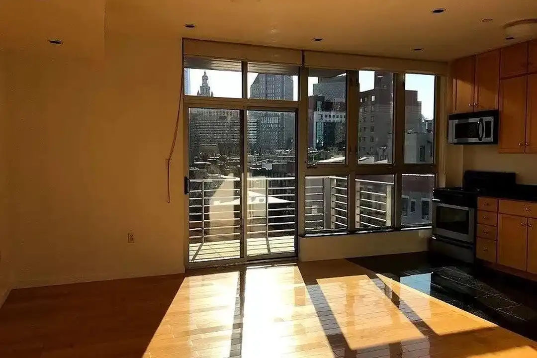 Apartment in New York, Two Bridges, Manhattan - View 2