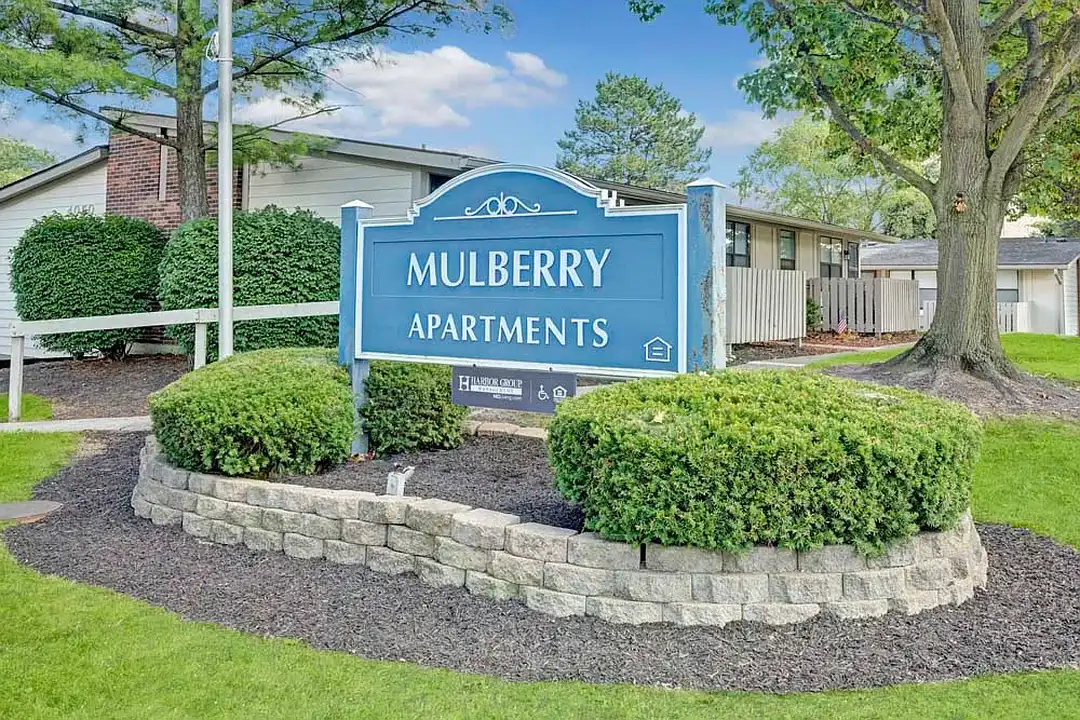Mulberry – photo 1 of 38