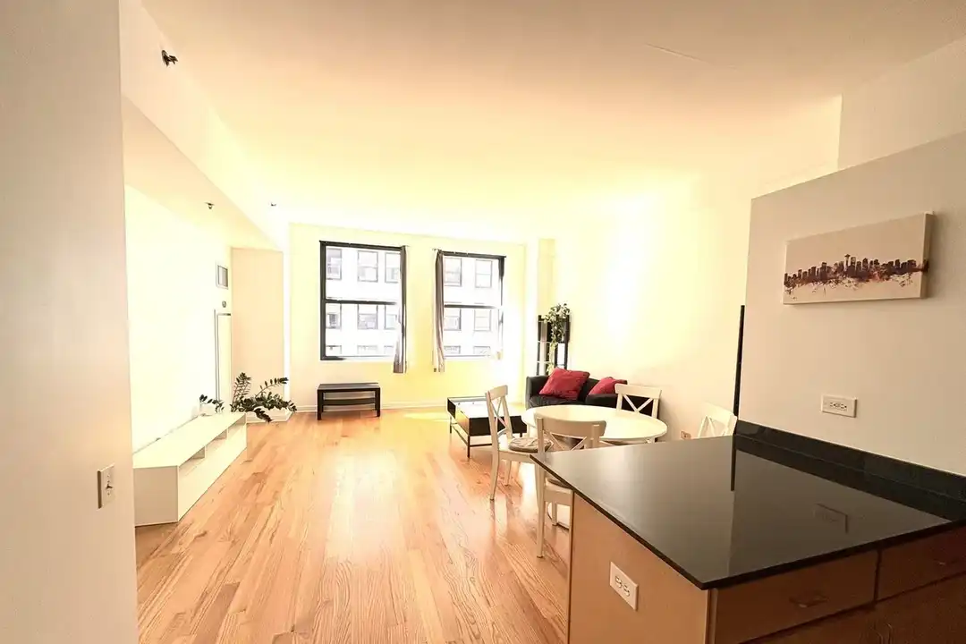 Apartment in Chicago, Jewelers Row, The Loop - More