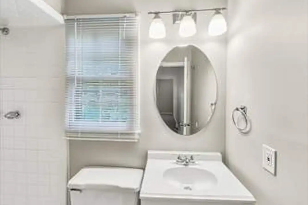 217 Elkhound Ct - View 4