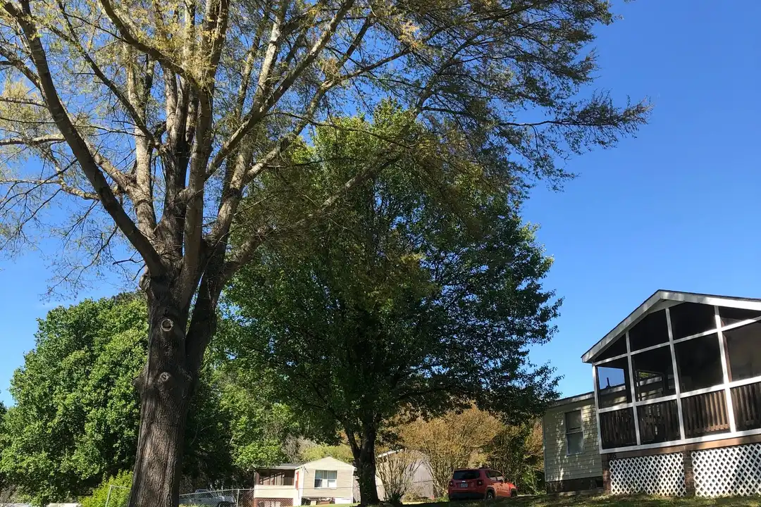 1305 Ewing Dr - View 3