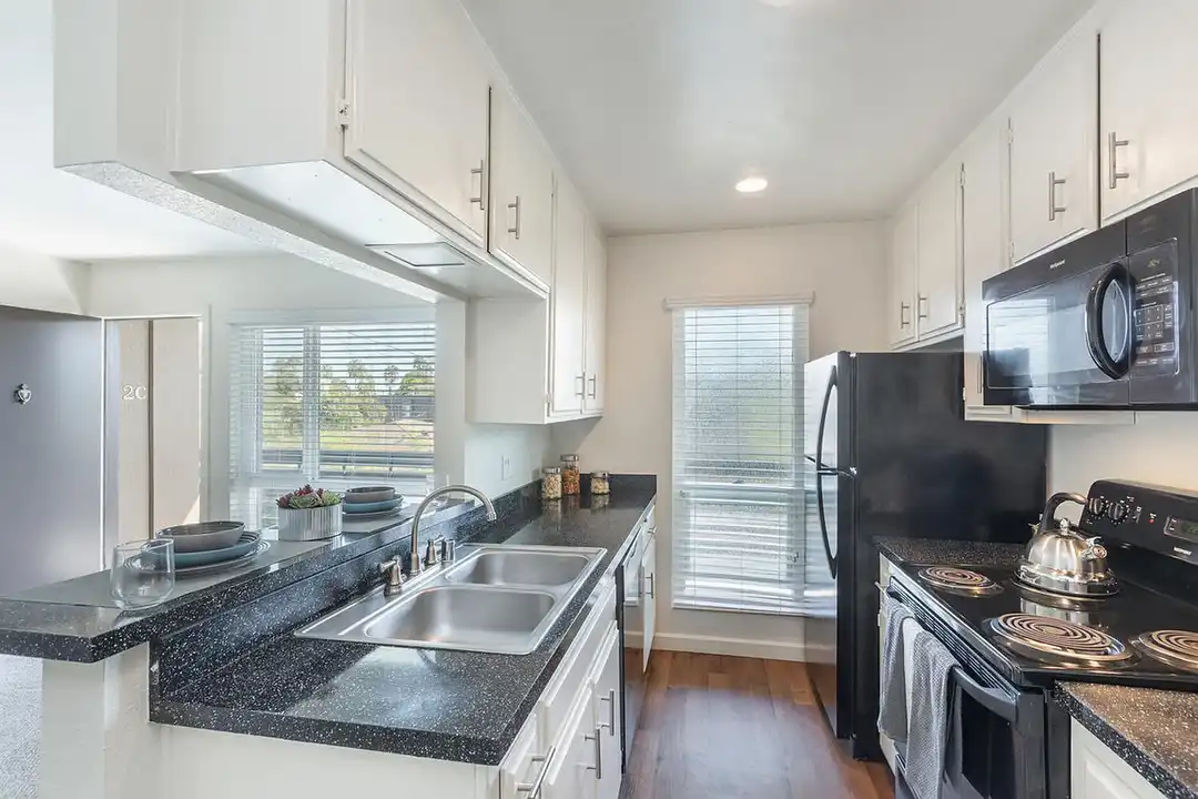 Elan Pacific Lofts - View 5