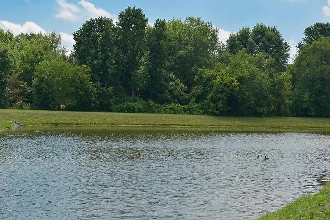 1825 WICHMAN Ln - More