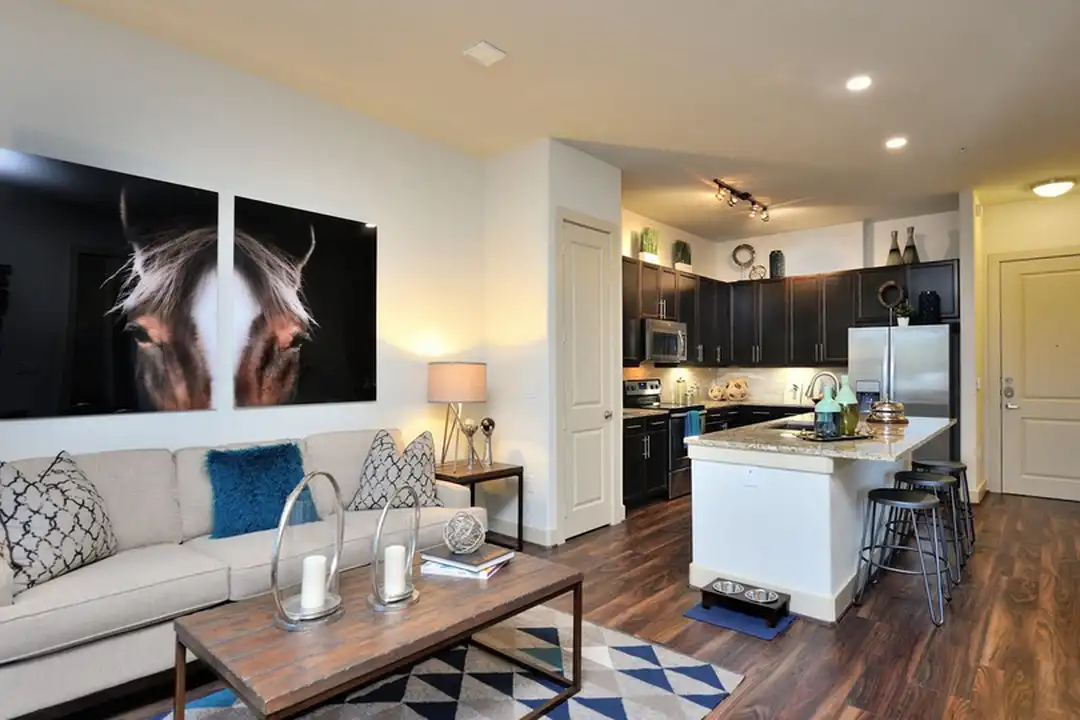 Apartment in Austin - View 4