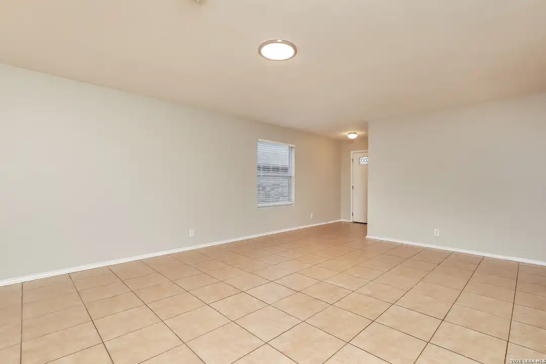 172 Texas Mulberry - View 3