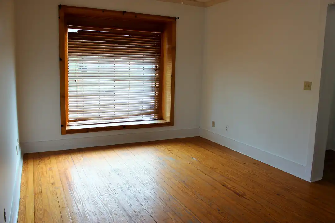 1003 E Alamo St - View 4