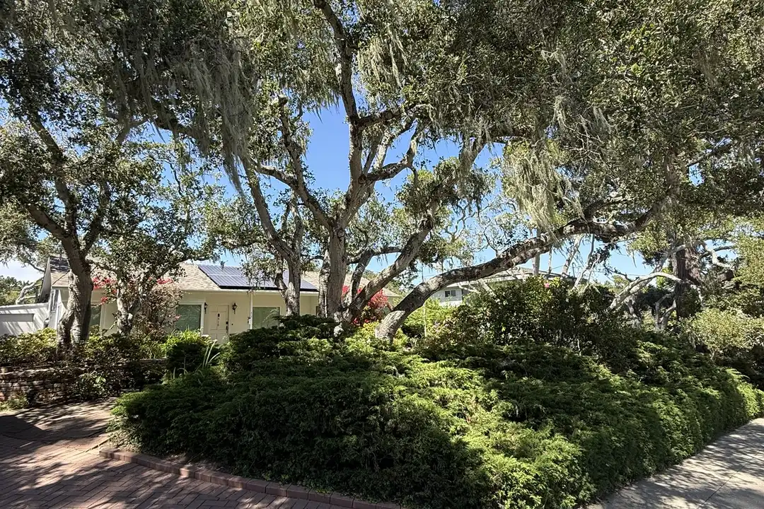 810 Martin St - View 4