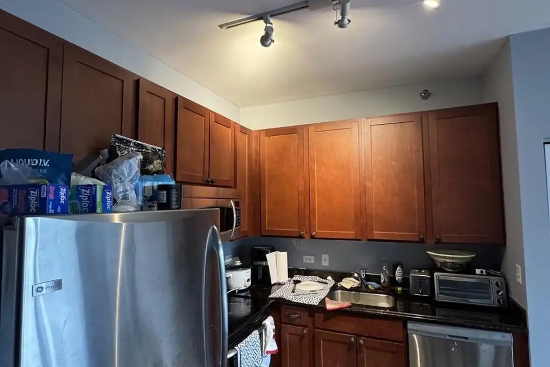 Apartment in Chicago - View 4
