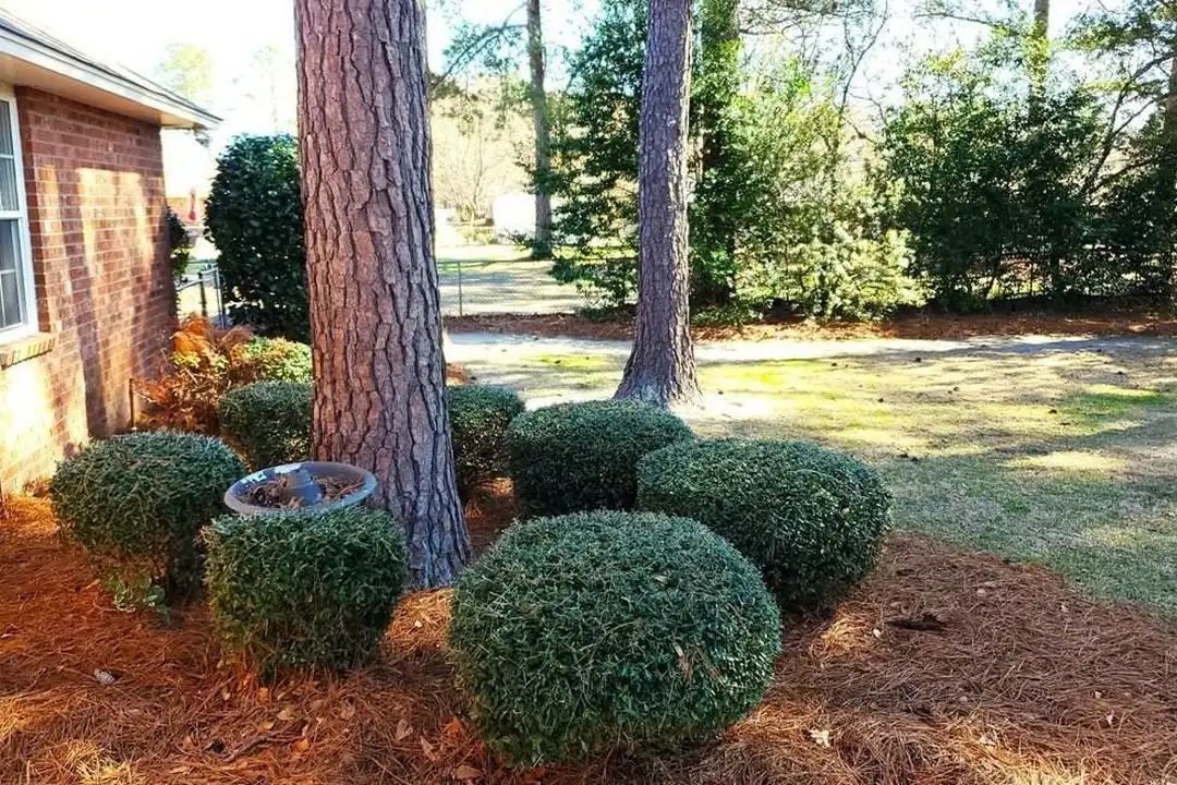 1450 Morris Way Dr - View 2
