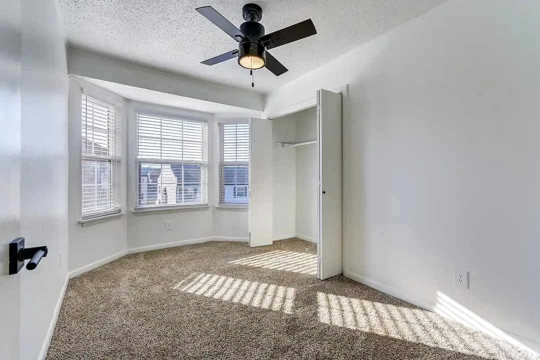 ReNew on Cantrell – photo 1