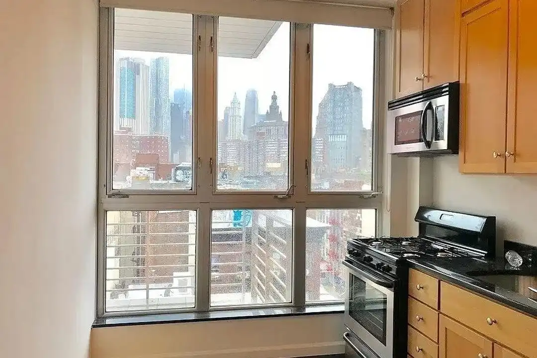 Apartment in New York, Two Bridges, Manhattan - View 3