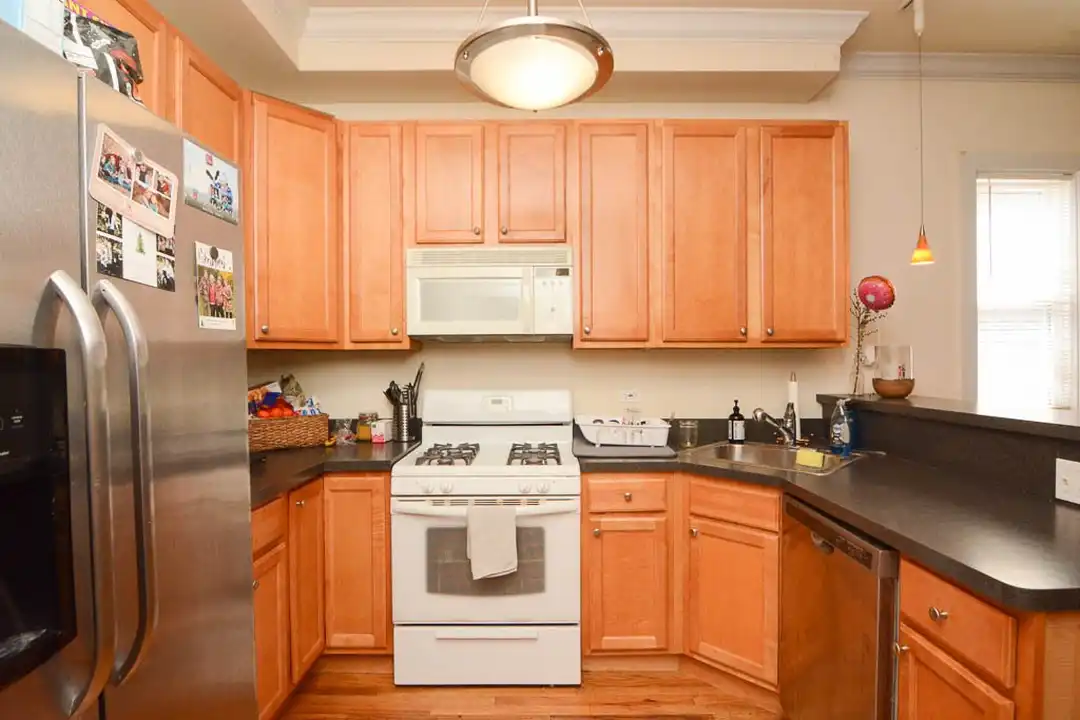 1309 W Roscoe St unit 3 - View 2