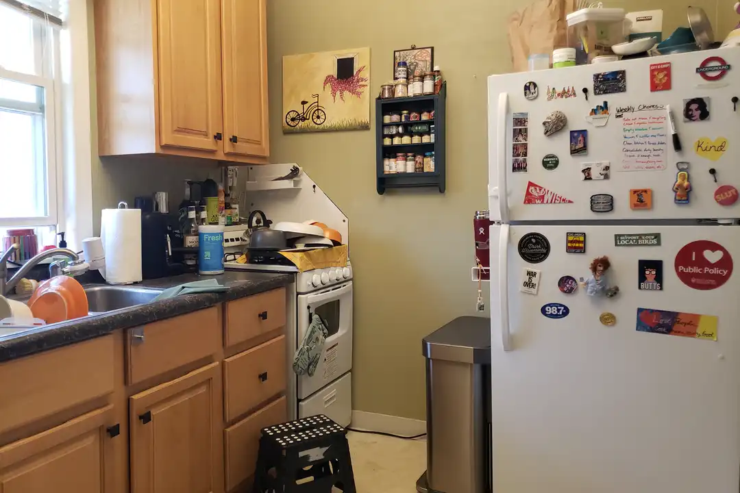 321 W Wilson St unit 4 - View 5