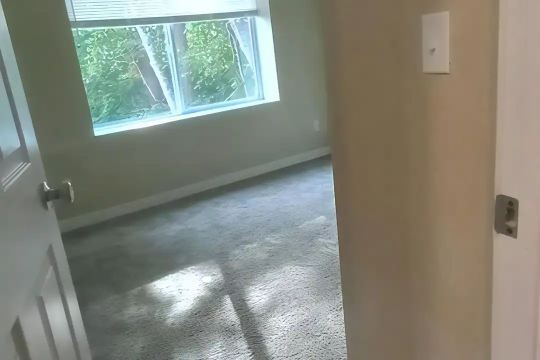 206 Teresa Way - View 6
