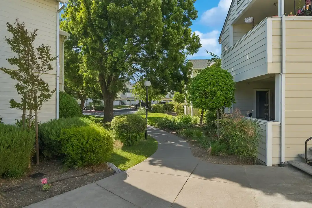 Emerald Pointe - View 4