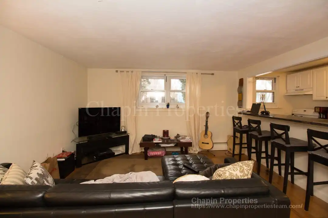 95 Chestnut St unit 1B NEW - View 2