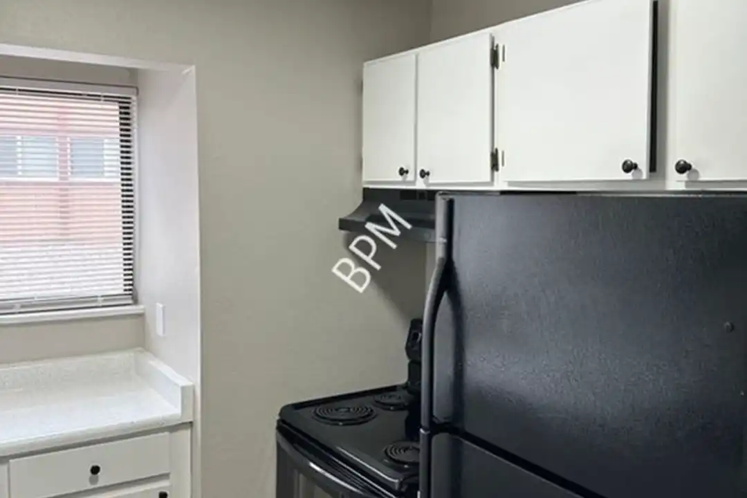 1010 Holli Springs Ln unit A - View 2