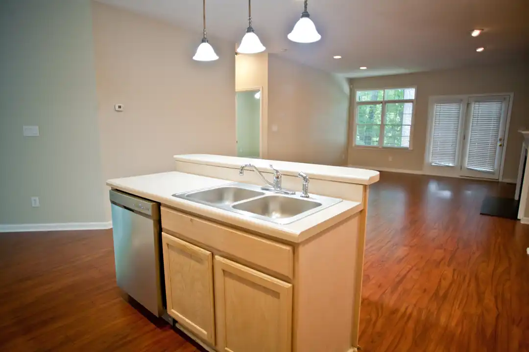 House in Chapel Hill - More
