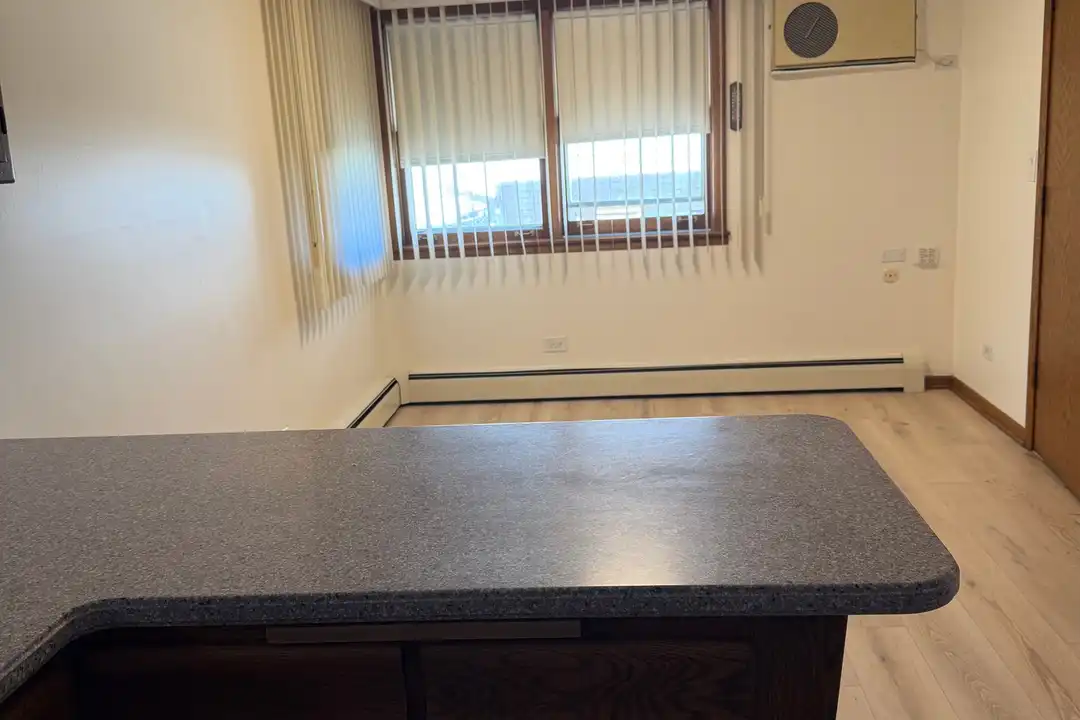 6614 W Devon Ave unit 1 - View 3