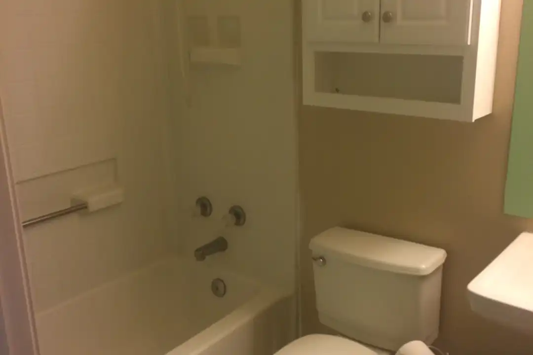 513 Cimarron Meadows Dr - View 3