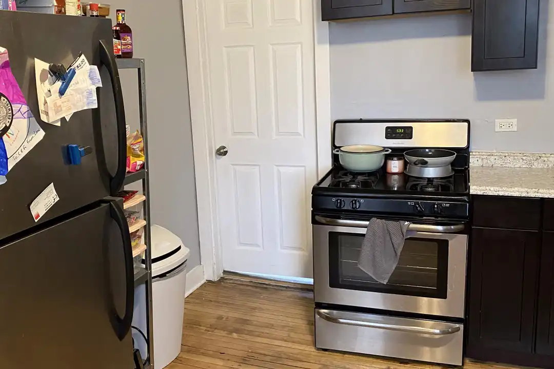 4558 S Justine St unit 2M - View 3