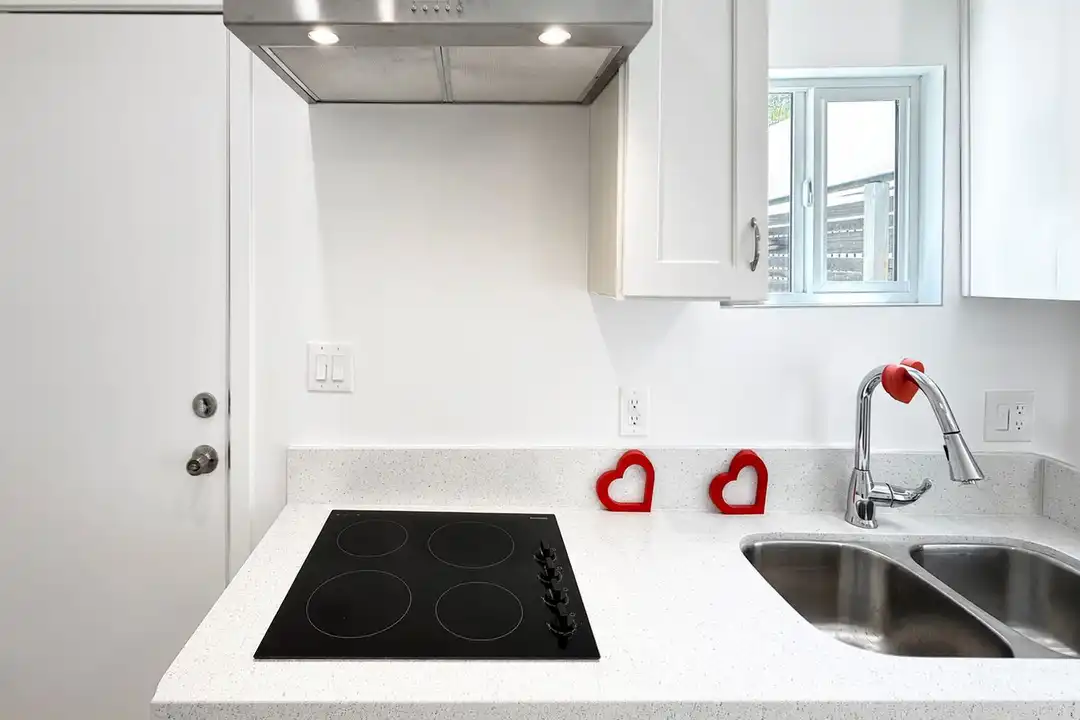 1001 E 5th St unit 1005 B - View 6