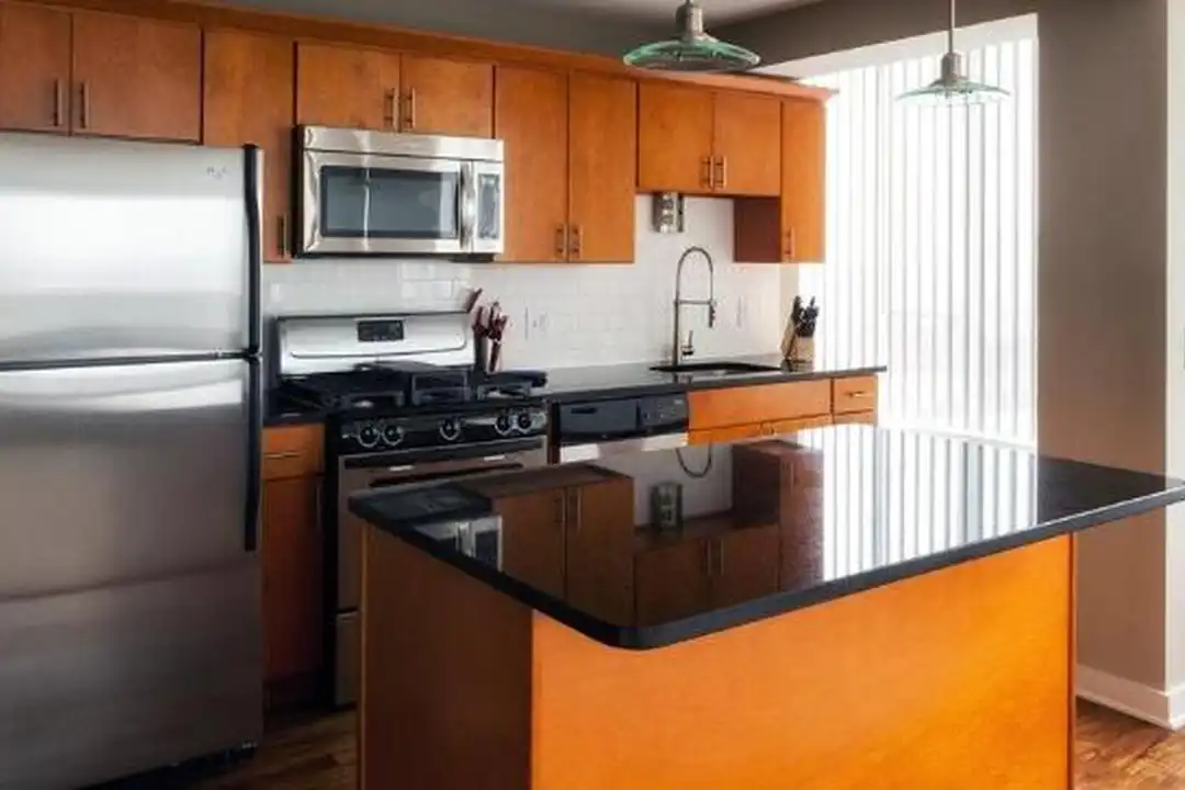 3233 S King Dr - View 2