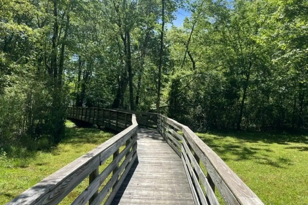 14 Lagoon Way - View 5