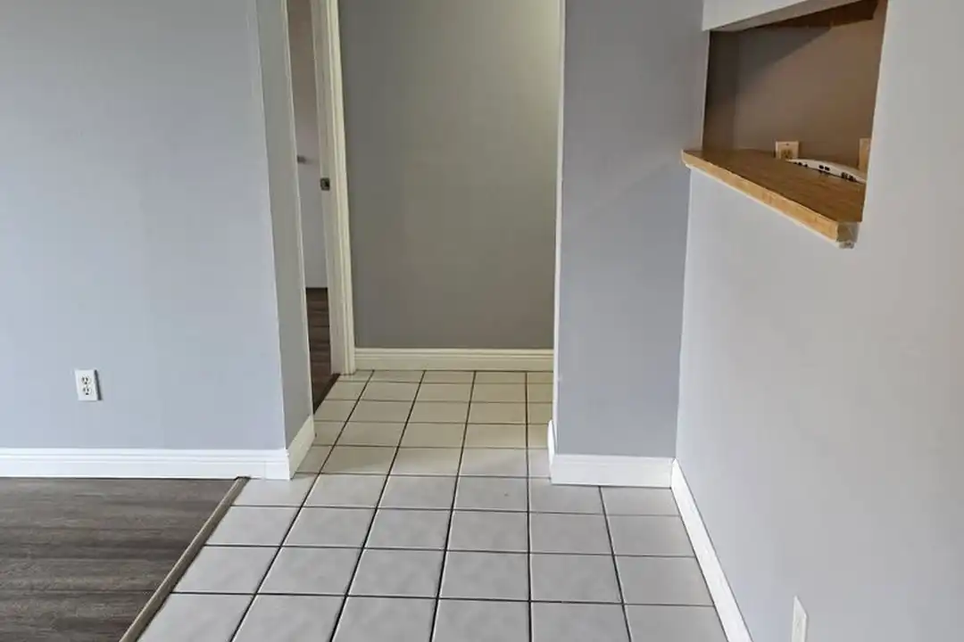 Apartment in Tampa - View 3