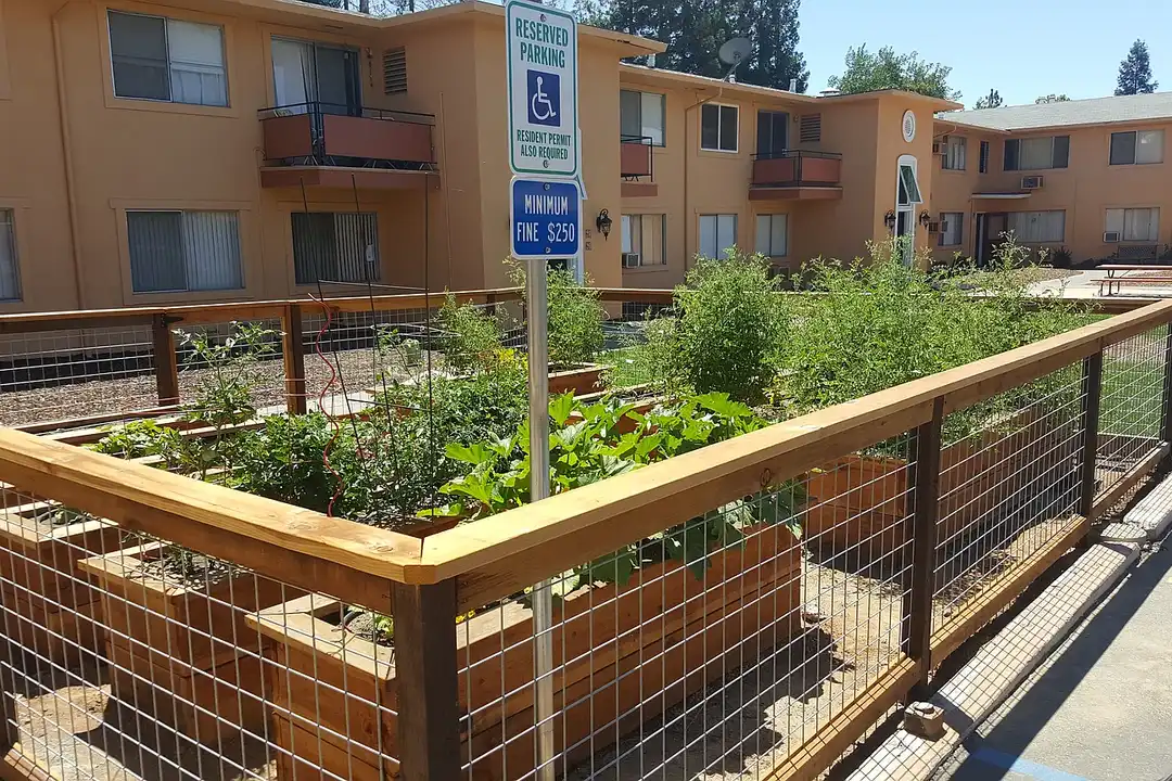 Arden Town Apartments - View 5