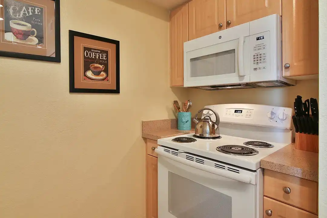 Springs at Palma Sola Apartments - More