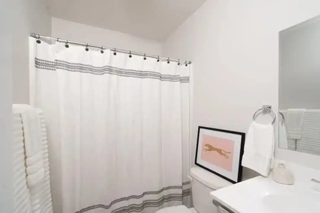 2933 Locust Grv Ct - View 5