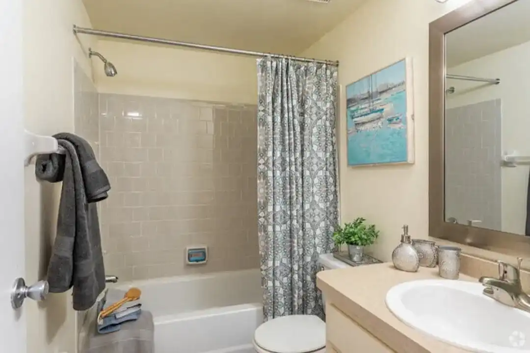 Bay Club Apartment Homes - More