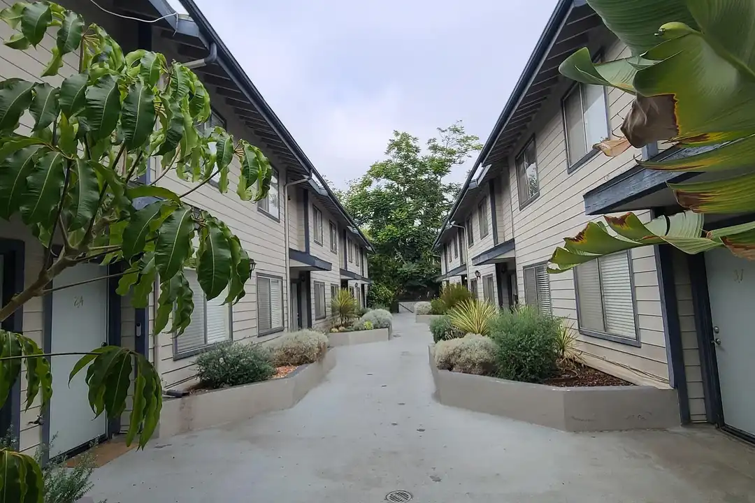 55 N Mar Vista - View 3