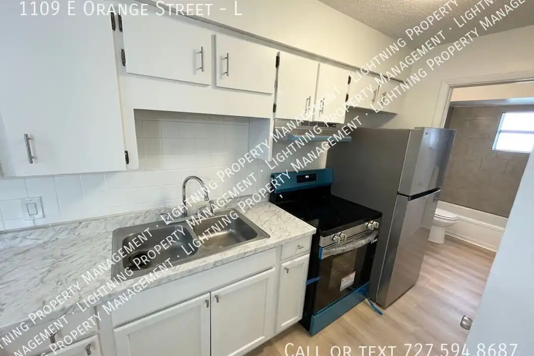 1109 E Orange St - View 5