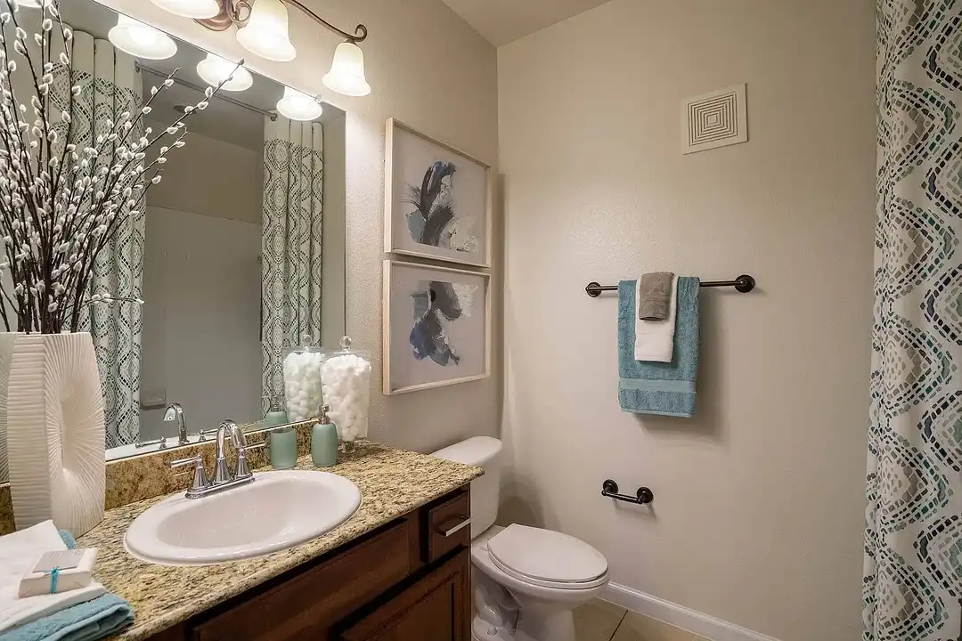 Orion Prosper Lakes Apartments - More