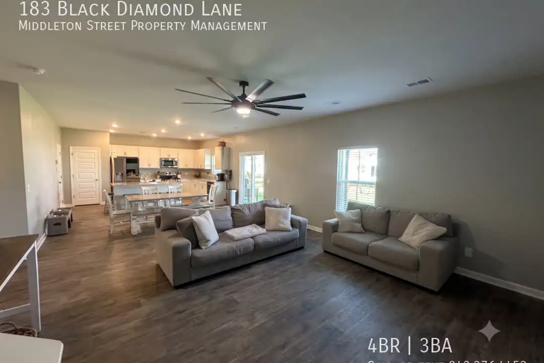 183 Black Diamond Ln - View 3