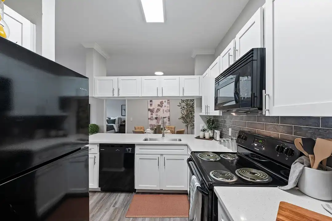 Apartment in Houston, Northwest Crossing - View 5